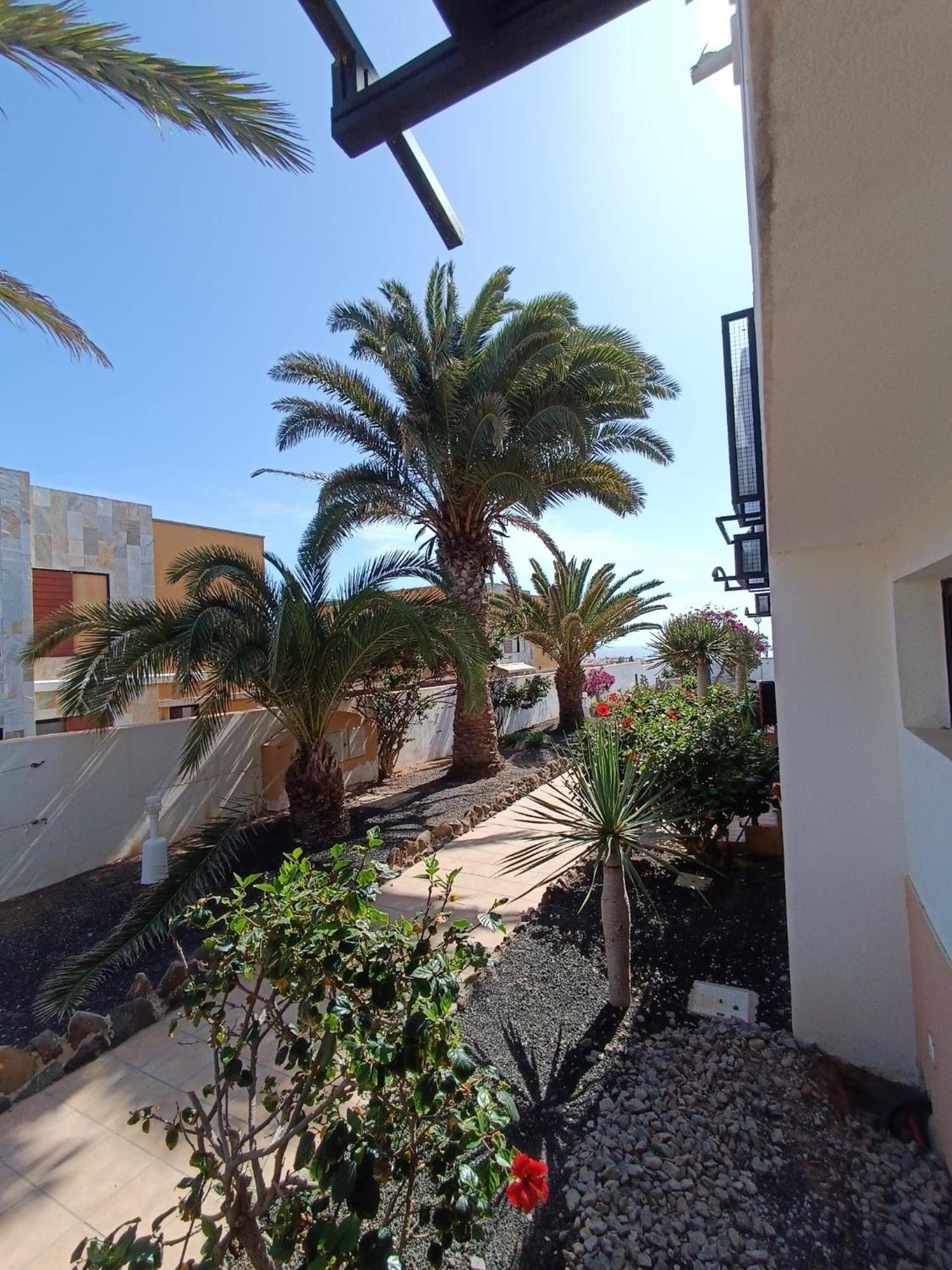 Apartamento Reload Complex Amaya Fuerteventura Costa De Antigua Exteriör bild