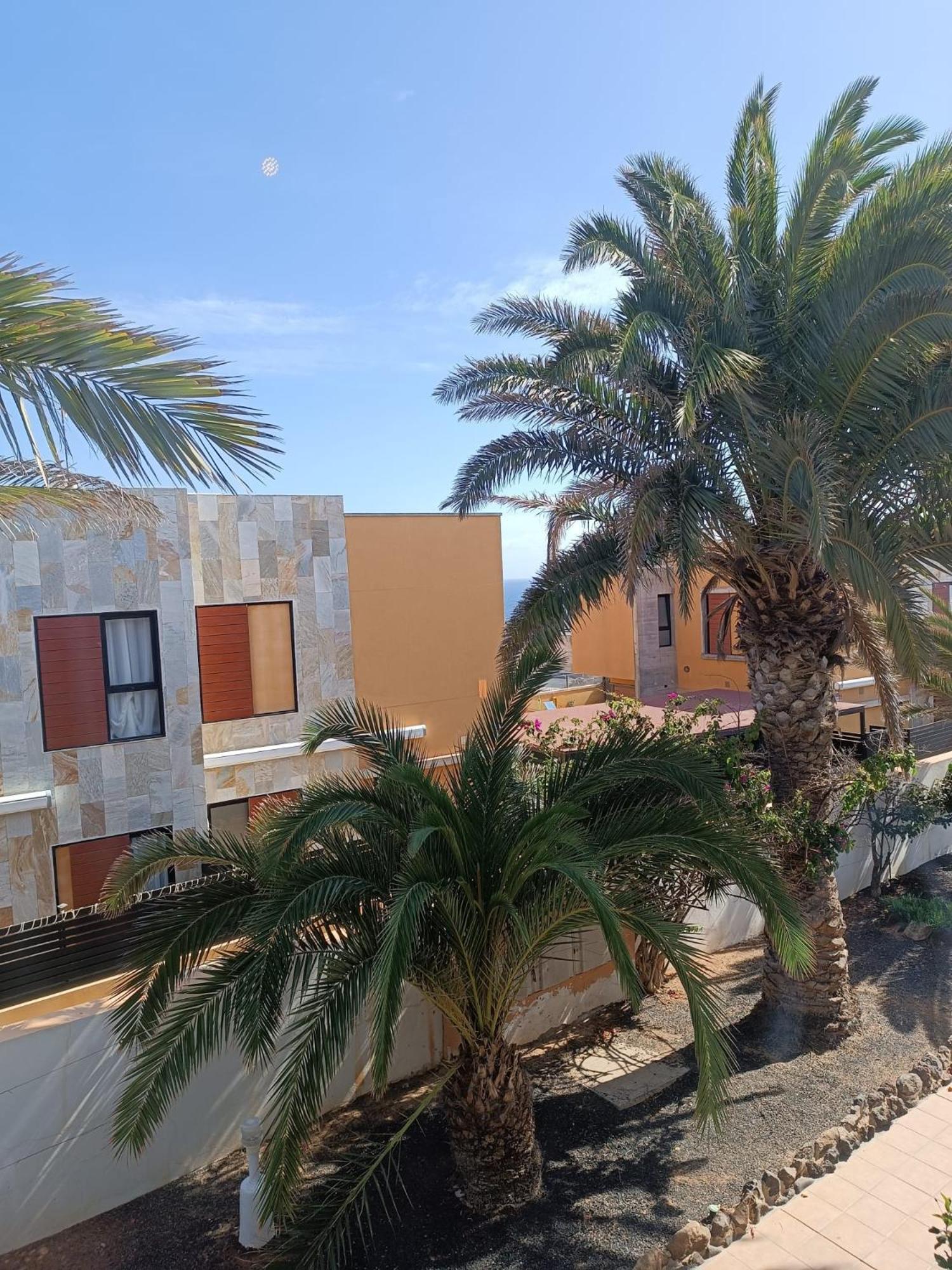 Apartamento Reload Complex Amaya Fuerteventura Costa De Antigua Exteriör bild